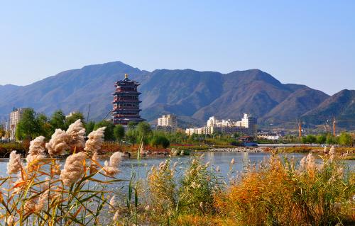 ����̓�M��˾ע�Ե�ַ